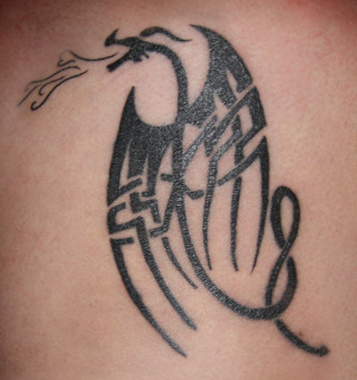 celtic Dragon Tattoo Designs Tribal Dragon Tattoo Tribal Tattoos celtic Dragon Tattoo Designs Tribal Dragon Tattoo Tribal Tattoos