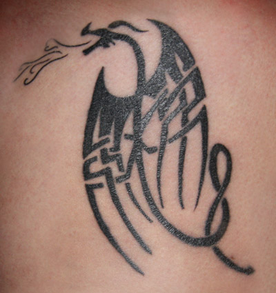 celtic Dragon Tattoo Designs, Tribal Dragon Tattoo, Tribal Tattoos, popular Tattoos