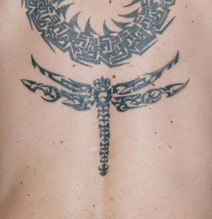 http://www.inkworm.co.uk/images/tatts/dragonfly_tattoo.jpg